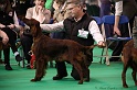 Crufts2011 122